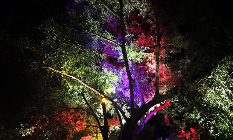 夜幕下的哈尔滨